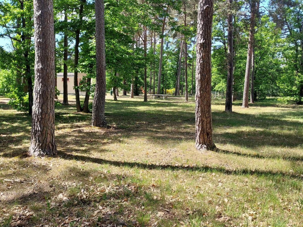 Camping les pins Nancay Extérieur photo