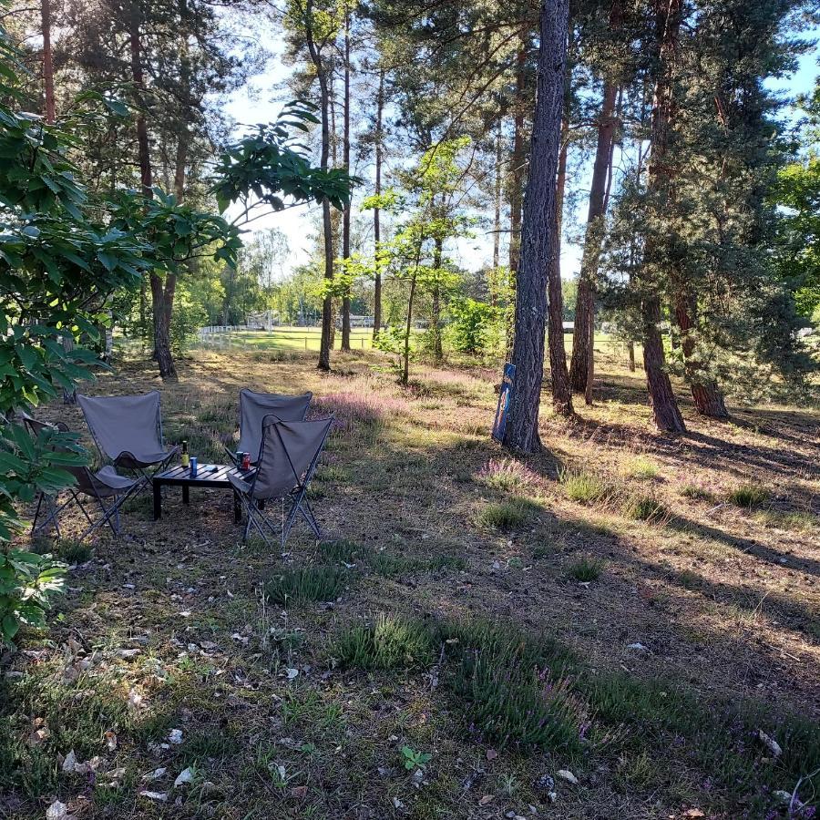 Camping les pins Nancay Extérieur photo